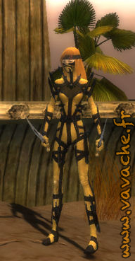 Guild_Wars_05
