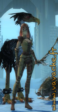 Guild_Wars_07