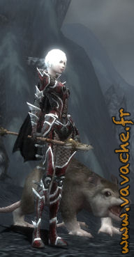 Guild_Wars_08