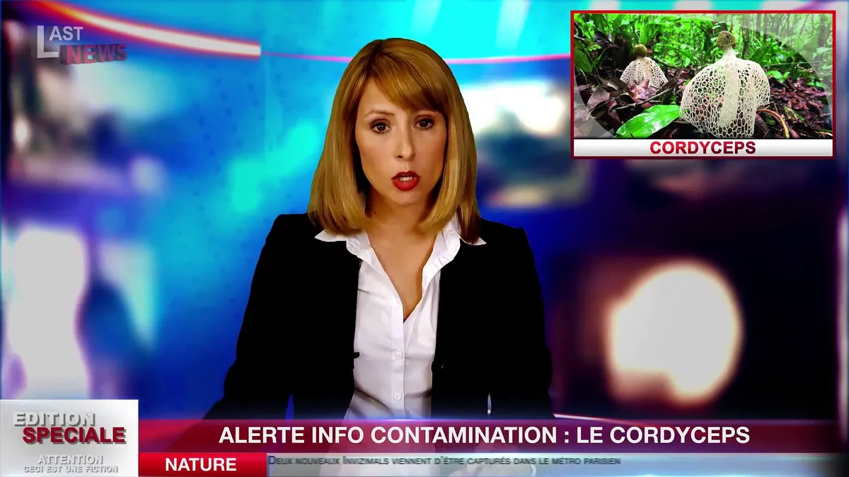 Cordyceps : pourquoi la folie a commencé en 2013 et pourquoi ça te concerne encore